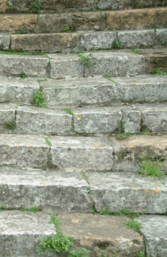 La escalera del jard&iacute;n